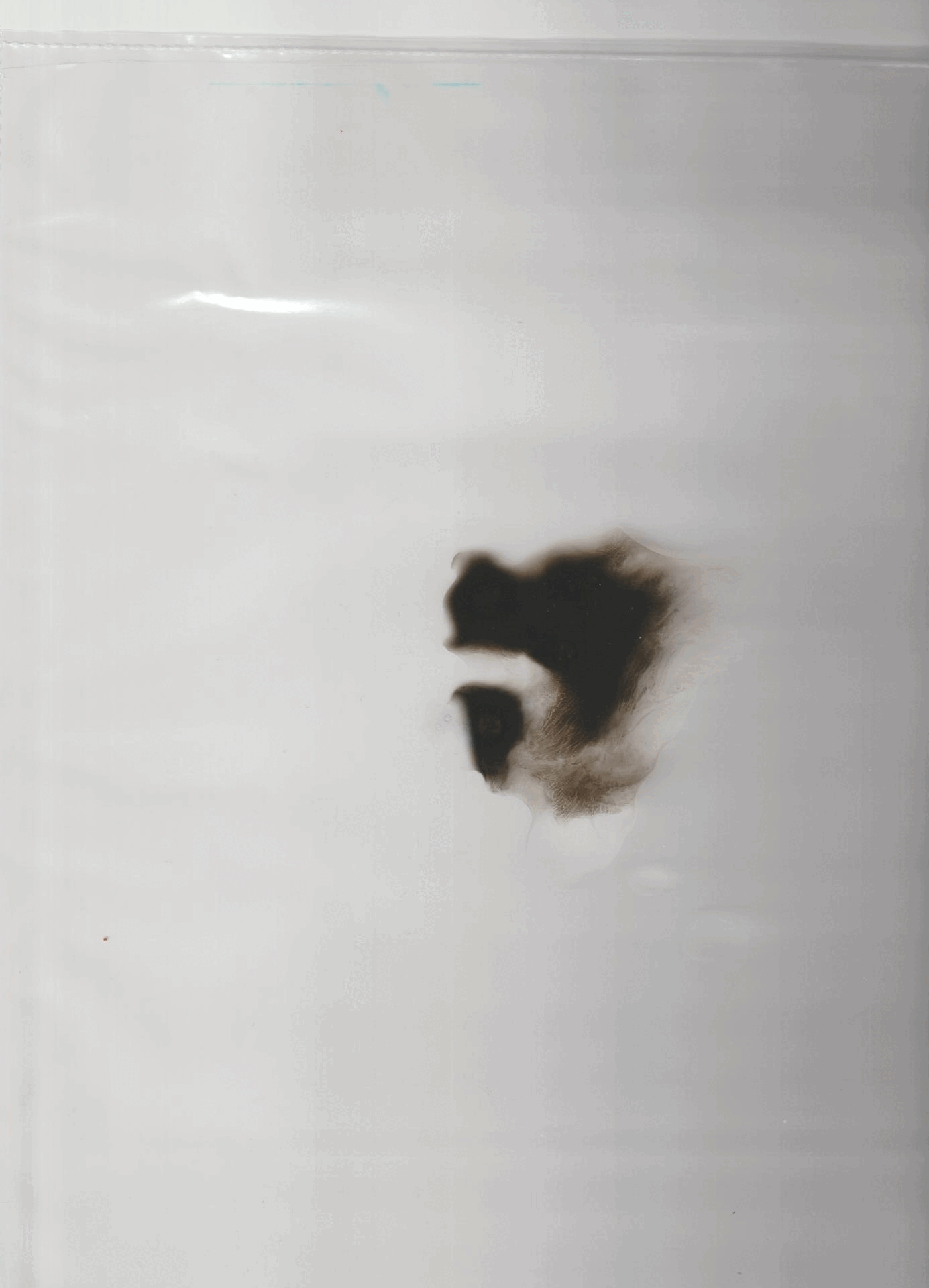 fluid I